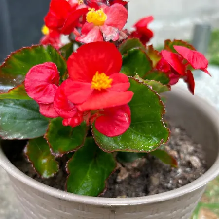 アパート Urban Getaway *